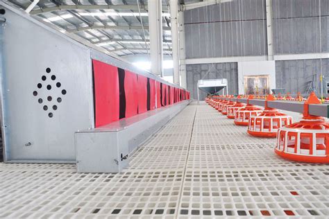Slatted Floor System, Plastic Poultry Flooring for Cage Free .